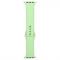 Ремінець Silicon Band 45mm Pistachio